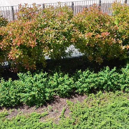 公寓式酒店 环保公寓酒店 卡萨莱蒙费拉托