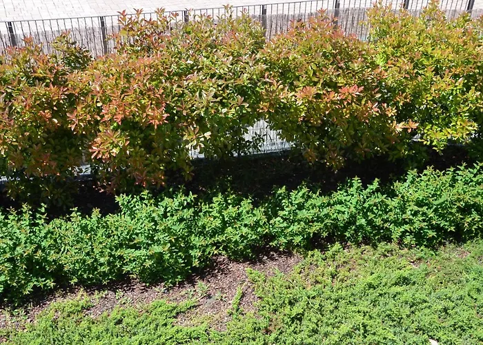 Lejlighedshotel Eco-residence Casale Monferrato